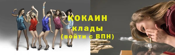дмт Алексин