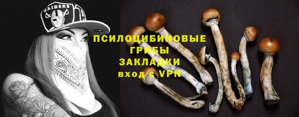 дмт Алексин